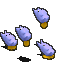 110772.gif