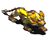 104319.gif